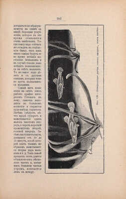 Золотницкий Н.Ф. Аквариум любителя. Подробное описание водяных животных и растений для аквариума, устройства аквариума, ухода за ним и проч. С 263 политипажами и 2 табл. 3-е изд., соверш. переделанное. М.: Изд. А.А. Карцева, 1904.